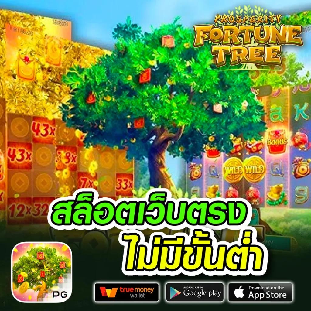 สล็อต pg เว็บตรง สล็อต ฝากถอนออโต้ ไม่ผ่านเอเย่นต์ 2026